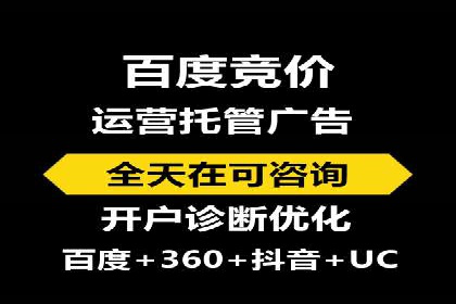 网络推广秘籍：竞价排名成功案例集锦